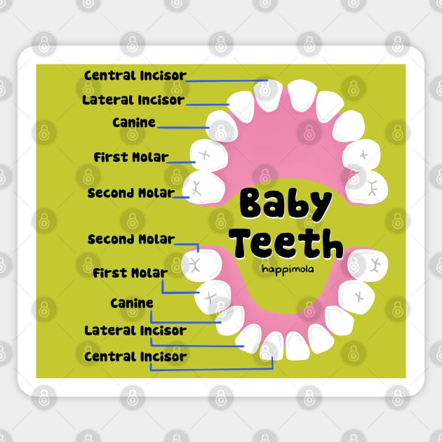 Baby Teeth names illustration - for Dentists, Hygienists, Dental Assistants, Dental Students and anyone who loves teeth by Happimola Sticker by Happimola